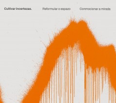 Cultivar incertezas: Reformular o espazo/conmocionar a mirada Cultivar incertezas: Reformular o espazo/conmocionar a mirada