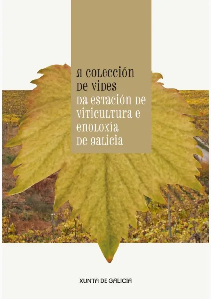A colección de vides da Estación de Viticultura e Enoloxía de Galicia 