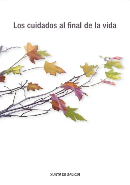 Los cuidados al final de la vida 