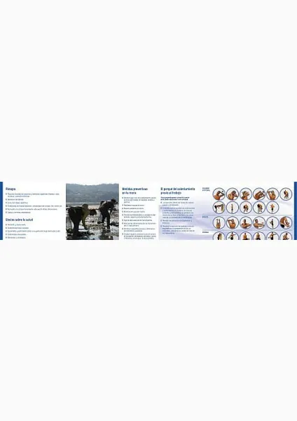 ISSGA Prevención de los trastornos musculo-esqueléticos en el marisqueo a pie 