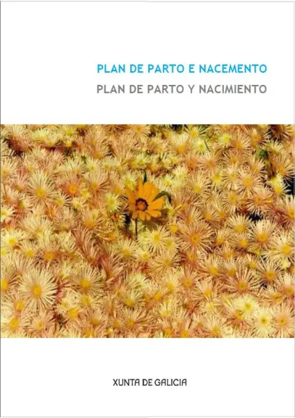  Plan de parto e nacemento=Plan de parto y nacimiento 