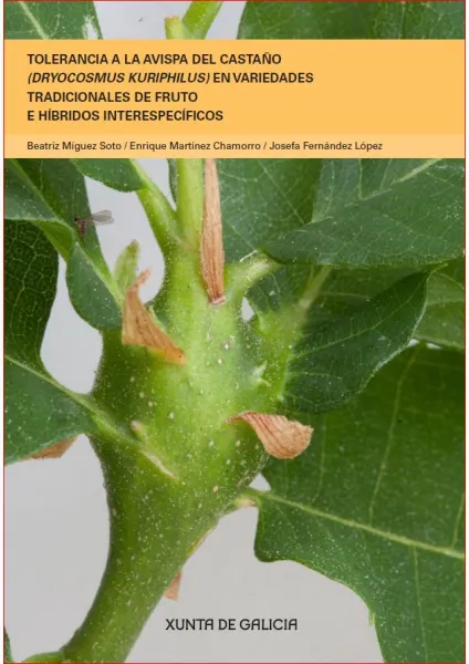Tolerancia a la  avispa del castaño (Dryocosmus kuriphilus) en variedades tradicionales de fruto e híbridos interespecíficos