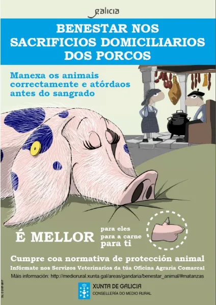 Benestar nos sacrificios domiciliarios dos porcos