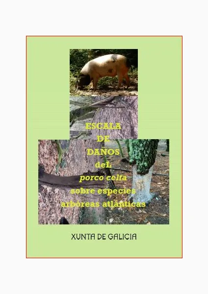 Escala de daños del "porco celta" sobre especies arbóreas atlánticas