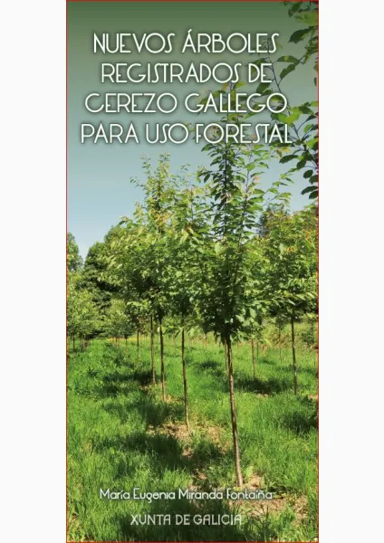 Nuevos árboles registrados de cerezo gallego para uso forestal