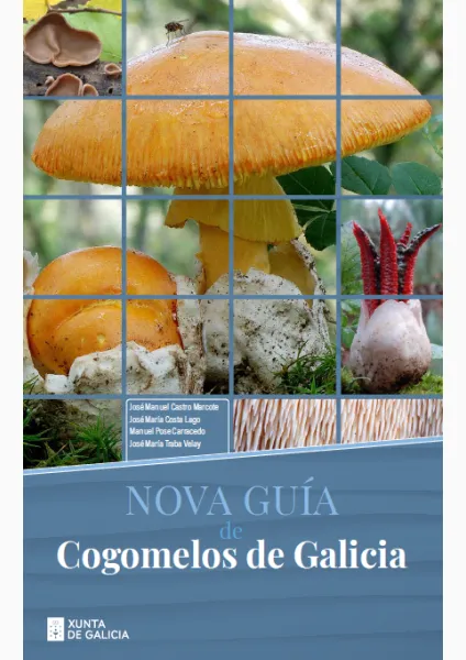 Guía de cogomelos de Galicia