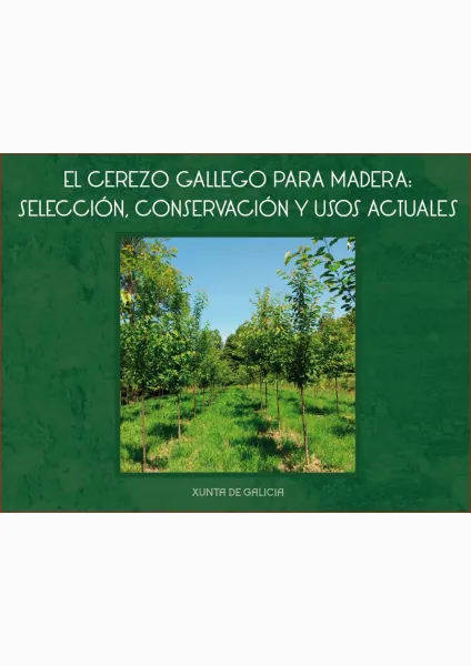 El cerezo gallego para madera: selección, conservación y usos actuales