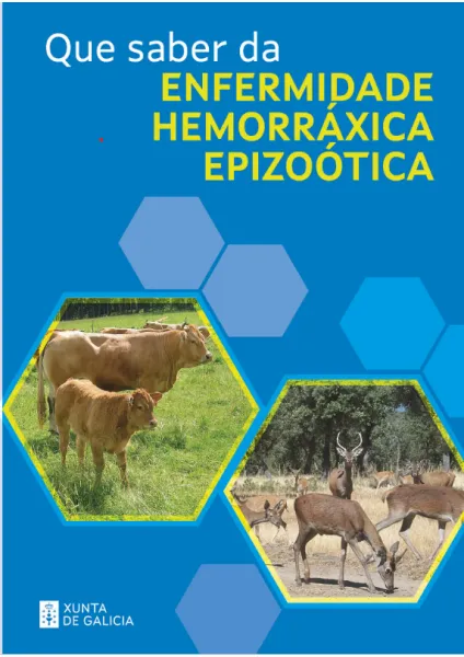 Que saber da enfermidade hemorráxica epizoótica