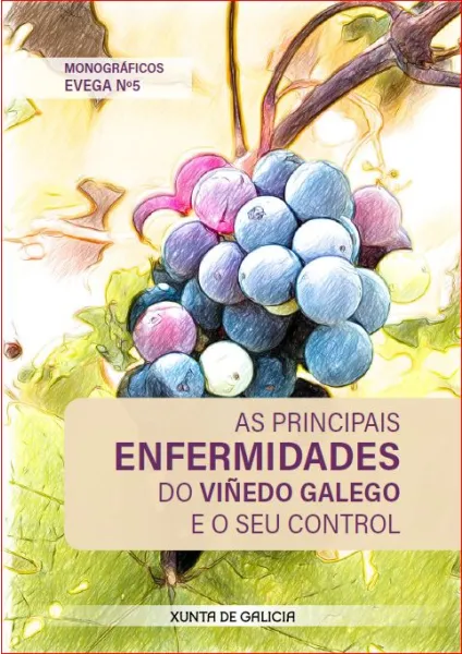 As principais enfermidades do viñedo galego e o seu control