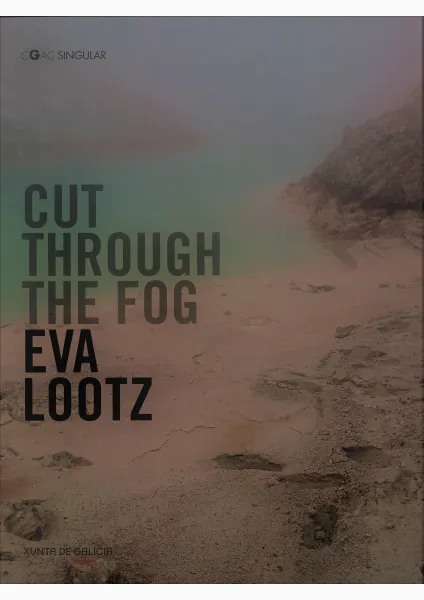Eva Lootz. Cut Through the fog