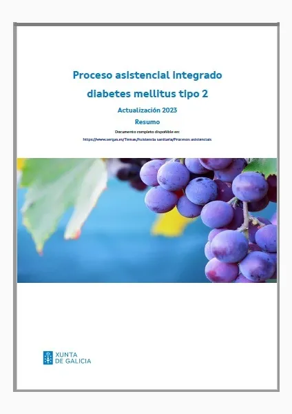 Proceso asistencial integrado diabetes mellitus tipo 2. Actualización 2023 : Resumo