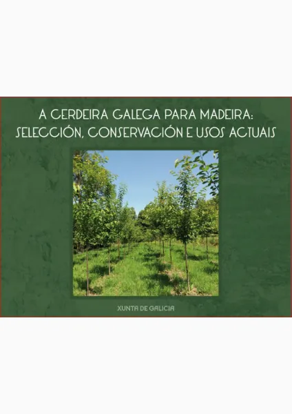 A cerdeira galega para madeira: selección, conservación e usos actuais