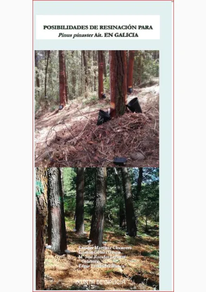 Posibilidades de resinación para Pinus pinaster Ait. en Galicia