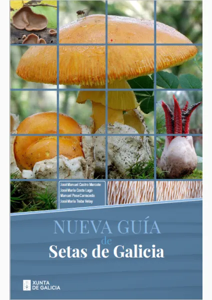 Guía de setas de Galicia