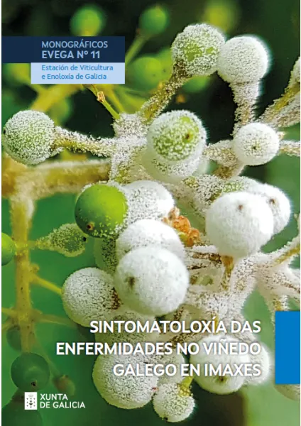 Sintomatoloxía das enfermidades no viñedo galego en imaxes 