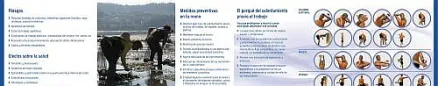  ISSGA Prevención de los trastornos musculo-esqueléticos en el marisqueo a pie 