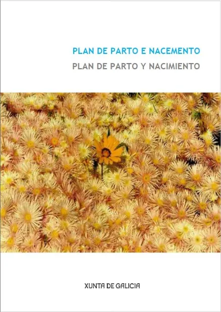 Plan de parto e nacemento=Plan de parto y nacimiento 
