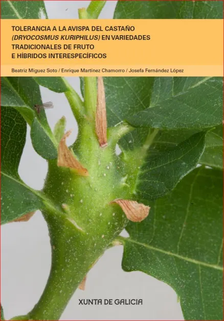 Tolerancia a la  avispa del castaño (Dryocosmus kuriphilus) en variedades tradicionales de fruto e híbridos interespecíficos