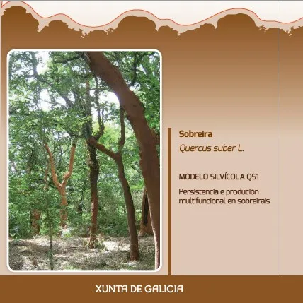 Sobreira (Quercus suber L.) MODELO SILVÍCOLA QS1 Persistencia e produción multifuncional en sobreirais