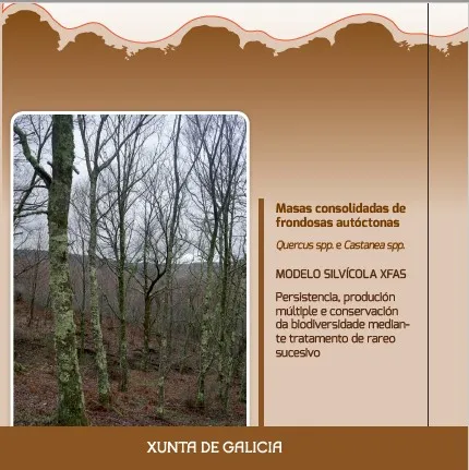 Masas consolidadas de frondosas autóctonas (Quercus spp. e Castanea spp.) MODELO SILVÍCOLA XFAS Persistencia, produción múltiple e conservación da biodiversidade mediante tratamento de rareo sucesivo