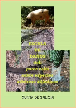 Escala de daños del "porco celta" sobre especies arbóreas atlánticas