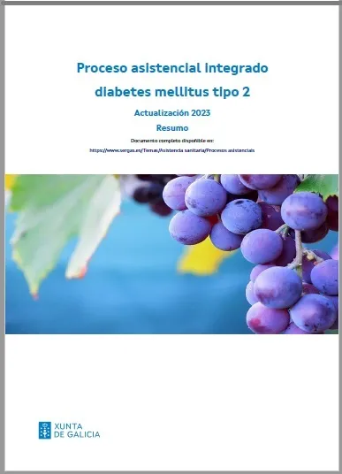 Proceso asistencial integrado diabetes mellitus tipo 2. Actualización 2023 : Resumo