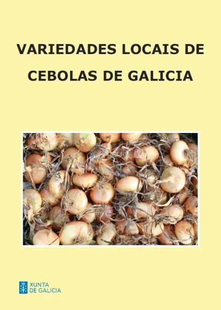 Variedades locais de cebolas de Galicia