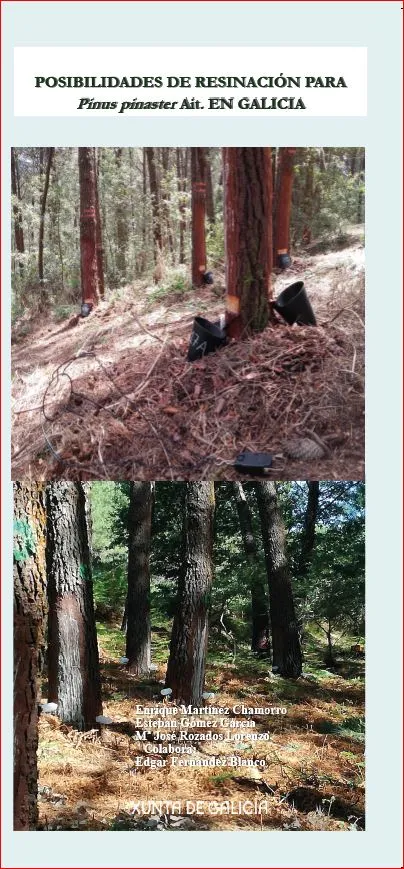 Posibilidades de resinación para Pinus pinaster Ait. en Galicia