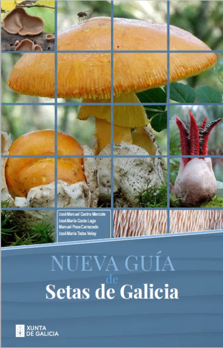 Guía de setas de Galicia