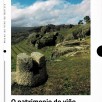 O patrimonio do viño: Ruta polas adegas e camiños do Ribeiro