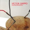 Víctor Grippo: Transformación