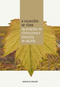 A colección de vides da Estación de Viticultura e Enoloxía de Galicia 