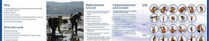 ISSGA Prevención dos trastornos músculo-esquelético no marisqueo a pé ISSGA Prevención dos trastornos músculo-esquelético no marisqueo a pé