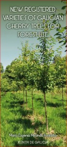 New registered varietes of Galician cherry trees for forest use