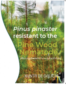 Pinus pinaster resistant to the Pine Wood Nematode (Bursaphelenchus xylophilus)