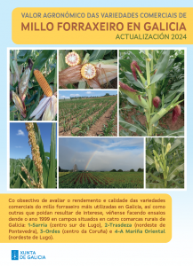 Valor agronómico das variedades comerciais de millo forraxeiro en Galicia. Actualización 2024