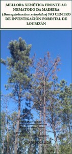 Mellora xenética fronte ao nematodo da madeira ((Bursaphelenchus xylophilus) ) no Centro de Investigación Forestal de Lourizán