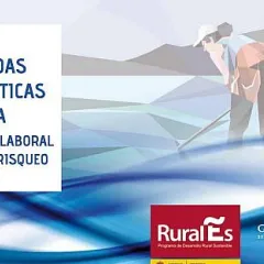  Saúde laboral no marisqueo a pé 