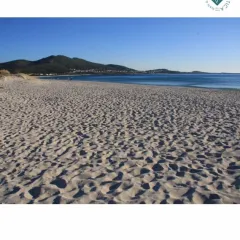  Informe técnico del programa de vigilancia sanitaria de las zonas de baño de Galicia 2013 