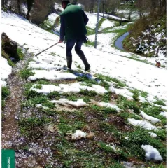 Agroexprés: Revista de divulgación do agro galego | Nº 2, xuño 2021