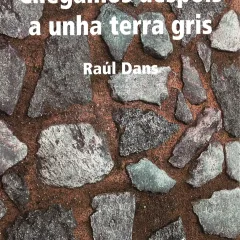 Chegamos despois a unha terra gris