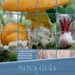 Guía de cogomelos de Galicia