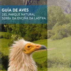Guía de Aves del Parque Natural de la Serra da Enciña da Lastra