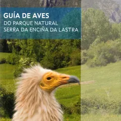 Guía de Aves do Parque Natural da Serra da Enciña da Lastra
