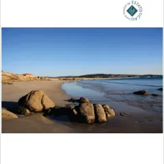 Informe técnico do Programa de vixilancia sanitaria das zonas de baño de Galicia 2015