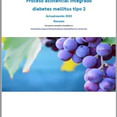 Proceso asistencial integrado diabetes mellitus tipo 2. Actualización 2023 : Resumo