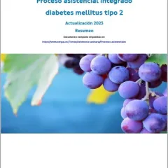 Proceso asistencial integrado diabetes mellitus tipo 2. Actualización 2023 : Resumen