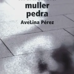  Incidencia muller pedra
