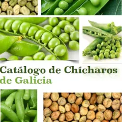 Catálogo de chícharos de Galicia 