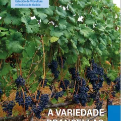 A variedade Brancellao